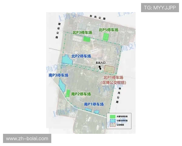 欧博app登录入口无法注册的常见问题及解决方案全方位解析